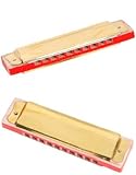 New Steel & Wood Rock Star Jazz Costume Real Harmonica