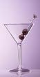 Classic 8 oz. Unbreakable Polycarbonate Plastic Martini Glasses