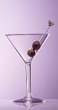 Classic 8 oz. Unbreakable Polycarbonate Plastic Martini Glasses