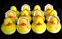 One Dozen (12) Rubber Ducky Duck Baby Shower Party Favors GIRL Pink