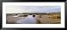 Black Point Wildlife, Merritt Island National Wildlife Refuge, Titusville, Florida, USA Places Framed Art Poster Print by Panoramic Images, 51x23