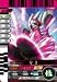 仮面ライダーバトルガンバライド 第10弾 仮面ライダーV３ 【SR】 No.10-045