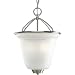Progress Lighting P3895-09 2-Light Foyer Fixture with Etched Seeded Glass, Brushed Nickel