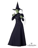 Wicked Witch - Elite Collection by InCharacter - Adult Costume - Size Small - B0009VRQ20