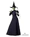 Wicked Witch - Elite Collection by InCharacter - Adult Costume - Size Small