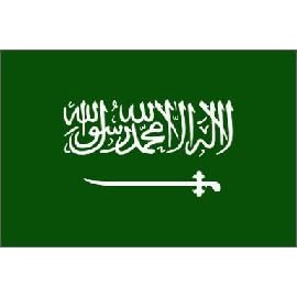 Saudi Arabia Flag Polyester 3 ft. x 5 ft.