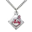 Cleveland Indians Chain Necklace & Enameled Pewter Pendant - MLB Baseball Fan Shop Sports Team Merchandise
