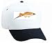 White Cap with svardbarare, fish, aquarium, animal