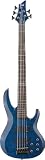ESP LTD