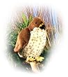 Red-Tailed Hawk - Audubon Plush Bird (Authentic Bird Sound)