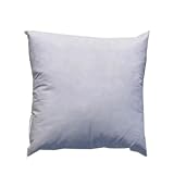 20'' x 20'' Feather/Down Pillow Form White By The Each