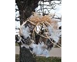Songbird Essentials SEWF91008 Wreath Nesting Material Bird