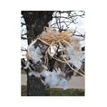 SAVE $1.49 - Wild Bird Nesting Material Wreath $18.49