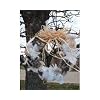 Songbird Essentials SEWF91008 Wreath Nesting Material Bird