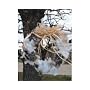 Nesting Material Wreath