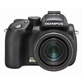Olympus SP-570UZ is the Best Digital Camera for Wildlife Photos Under $500