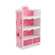 Barbie Bookshelf