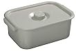 `Commode Pail Bariatric