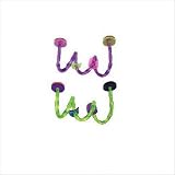 Medium Acrylic Slider Bird Toy