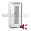Tall Alarm (Surface Mount) Cabinet - AMP184-1SM