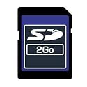 Dane Elec 2GB Secure Digital Card