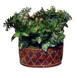 KJB Security C2000B Plant Camera B/W Hardwired