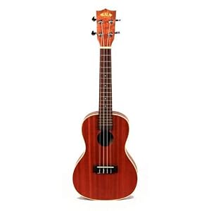 Concert 'ukulele Concert 'ukulele
