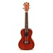 Kala KA-C Mahogany Concert Ukulele