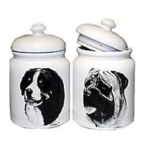 Cookie Jar Shiba Inu