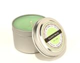 Paddywax - Travel Tin Key Lime