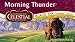 Celestial Seasonings Celest Morning Thunder tea