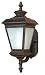 60-2523 Nuvo Lighting Fluorescent Charter Traditional Outdoor In Old Penny Bronze
