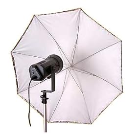 Promaster SystemPro Convertible Umbrella ~ 30''