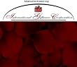 200 Silk Rose Petals Wedding Favors - Solid Colors - Burgundy