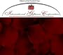 200 Silk Rose Petals Wedding Favors - Solid Colors - Burgundy