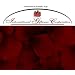 200 Silk Rose Petals Wedding Favors - Solid Colors - Burgundy