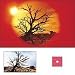 Cokin P078 Filter, P, C.spot Wa Red