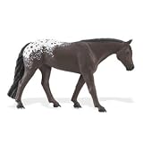 Winner's Circle: Appaloosa MareIMAGE