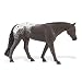 Winner's Circle: Appaloosa Mare_s-1