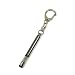 Carmate Earthing Electrostatic Key Chain