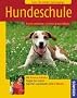 Hundeschule: Hunde verstehen, erziehen & besch�ftigen
