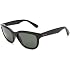 Ray-Ban 0RB4159 Polarized Sungl
