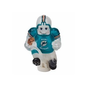 Miami Dolphins 5
