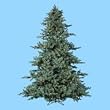 7.5' Pre-Lit Rocky Mountain Fir Artificial Christmas Tree - Clear Lights