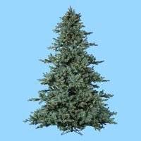 7.5' Pre-Lit Rocky Mountain Fir Artificial Christmas Tree - Clear Lights