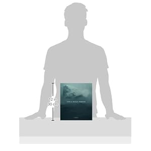 Sonja Braas: Forces (Art Catalogue)
