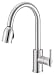 Danze Parma Stainless Steel 1hdl Pulldown Fct D457058SS