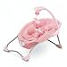 Fisher Price Butterfly Pink Papasan Infant Seat
