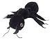Giant Microbes - Black Ant (Lasius niger) Educational Plush Toy