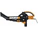 Worx/Rockwell WG500 Worx Electric Blower And Vac - As Seen On TV